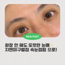 구월 | 구월동속눈썹펌 자연스럽게 잘하는 곳! 지앤미 구월점 후기