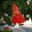 합천군농기계대여은행 이미지