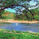 행복한집펜션 이미지