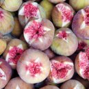 사남매농장 이미지