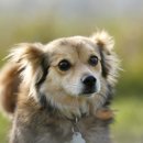 위즈동물병원 이미지