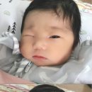 한지우 카카오 검색결과
