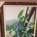 포항불빛미술대전 이미지