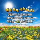 서울도넛츠 이미지