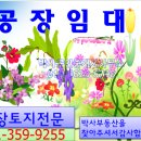 조암ic공인중개사사무소 이미지