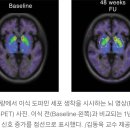 연세메딕스 이미지
