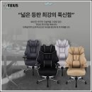 주식회사알록 | 컴퓨터 의자 추천 내돈내산 테우스 프리미엄 메쉬 오래 앉아도 편한 의자