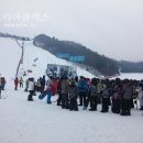 신정초등학교 이미지