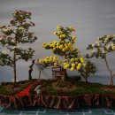 영암기찬랜드 이미지