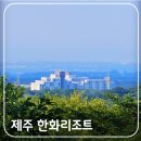 한라산 콘도미니엄 | 제주 가성비 숙소 추천 한화리조트 스위트 객실 숙박 후기