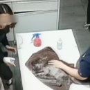 진동물병원 이미지