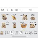 미천공원 | 9월 : 배 터지는 나날들