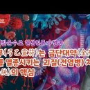 궁을빛아카데미