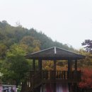 10.22 김구한♥이민재 경북산림과학박물관 야외예식 이미지