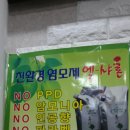 엘뷰티샤론
