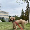 털로덮인친구들(키녹점) 이미지