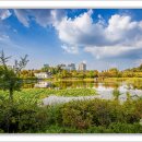 푸른수목원 이미지