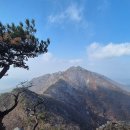 2월 28일 (토) 보은 구병산(100대 명산) 충북 알프스 산행 안내 및 예약 이미지