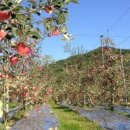 옥화 농장 이미지