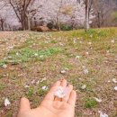 봉황예술극장 이미지