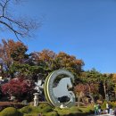 경마공원 | 과천 경마공원 후기｜입장료·베팅방법·가을 풍경까지 완벽 정리