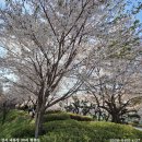 광평로56길(수서6단지길) | 2026.4.03 ~ 06 부산 여행