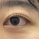 스튜디오고덕