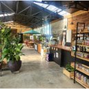 토브하르 이미지