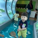 화순천재어린이집 이미지