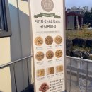 제틴노24 무인카페 | 동탄 애견카페 개구댕이 | 비오는 날도 방문 가능한 24시간 무인 애견운동장