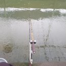 신촌낚시터 이미지