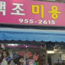 백조미용실 네이버블로그