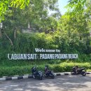 빠당빠당 이미지