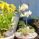 큰돌농장 이미지