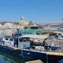 통영한바다 | 통영 배낚시 포인트 섬 여행 코스 함께 즐기는 카사호