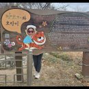 효자동 박태성정려비및묘 Daum카페