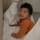 [260~269일 육아일기] 무릎꿇기&amp;엎드려뻗쳐시작/아빠생일/안고걸어병/엄마발음시작/책읽기레벨업
