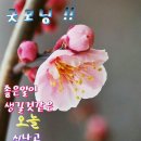 1431 이미지