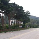 죽도자전거