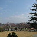 산청금서관광지 이미지