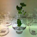 포텐셜 플레이스 | 260314-260316 삿포로 여행 셋째날