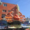 죽도어시장 이미지