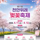 용암3길 티스토리