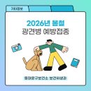 디아크 동물병원 | [기타] 2026년 봄철 <광견병 예방접종> 실시