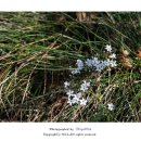 전득이고개 이미지