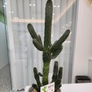 라라샵 옥포점 이미지