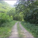 뒷골로, 뒷골1로 이미지