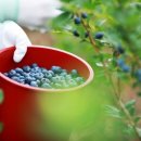 학기농장 이미지