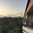 KIDS IN LOVE | MJ IN BALI 4