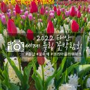 안면도베르사유 | 충남 태안 세계 튤립축제, 안면도 근처 가볼 만한 곳 +현재 개화율